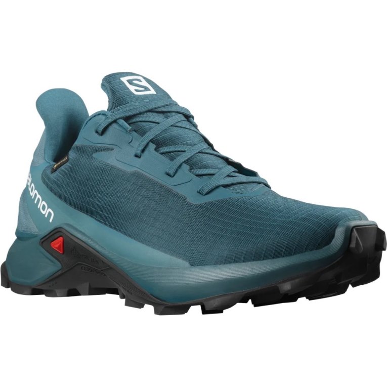 Tenis Para Trail Running Salomon Alphacross 3 GTX Hombre Turquesa | MX KIXV984